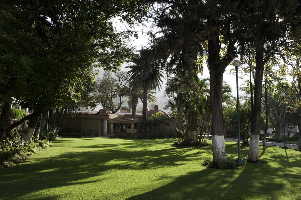 Hotel Los Olivos Spa Oaxaca Εξωτερικό φωτογραφία